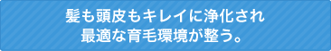 髪も頭皮もキレイに浄化され最適な育毛環境が整う。
