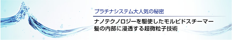 プラチナシステム大人気の秘密 ナノテクノロジーを駆使したモルビドスチーマー髪の内部に浸透する超微粒子技術