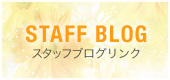 スタッフブログ